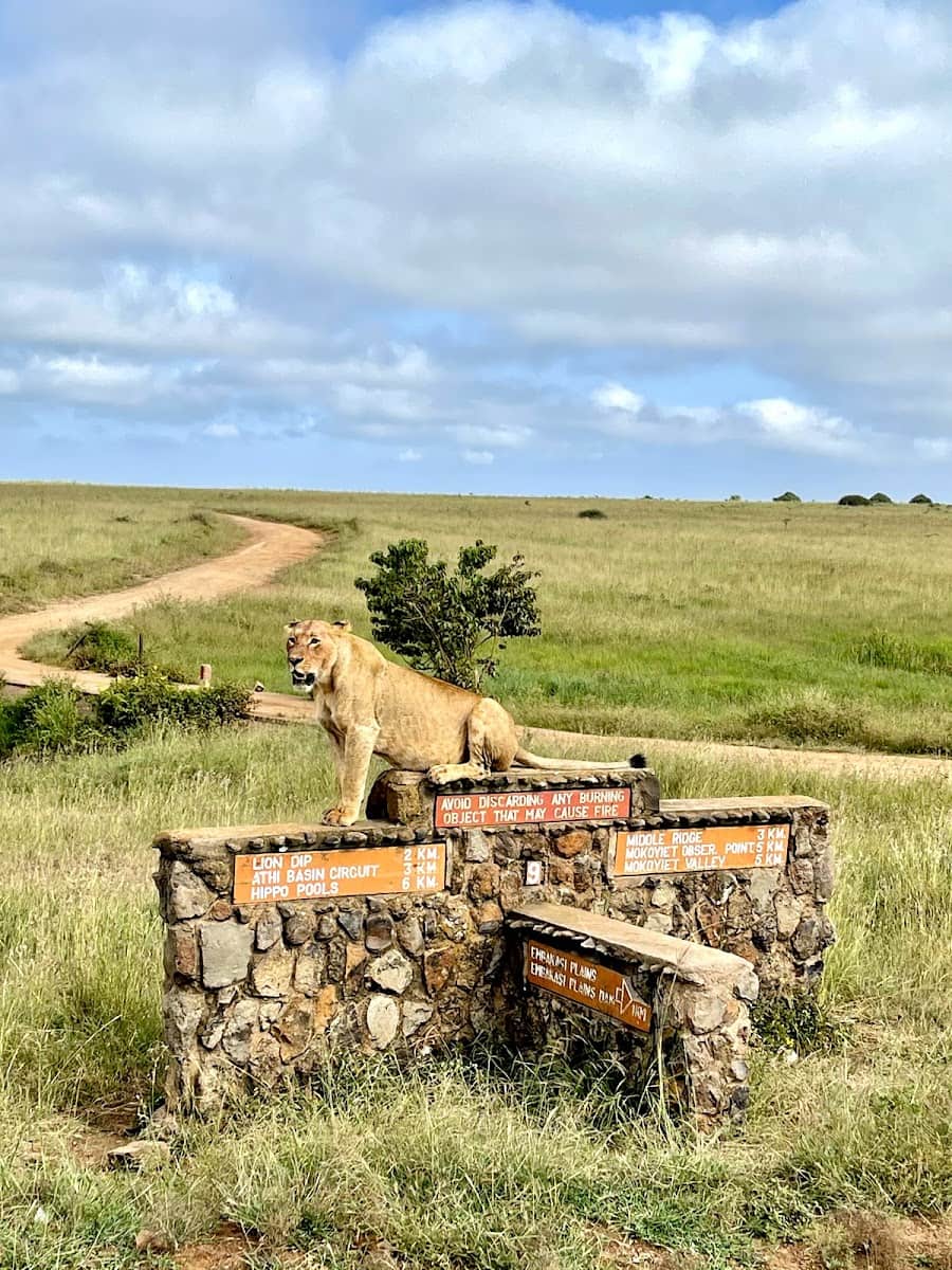 Nairobi National Park Nairobi National Park
