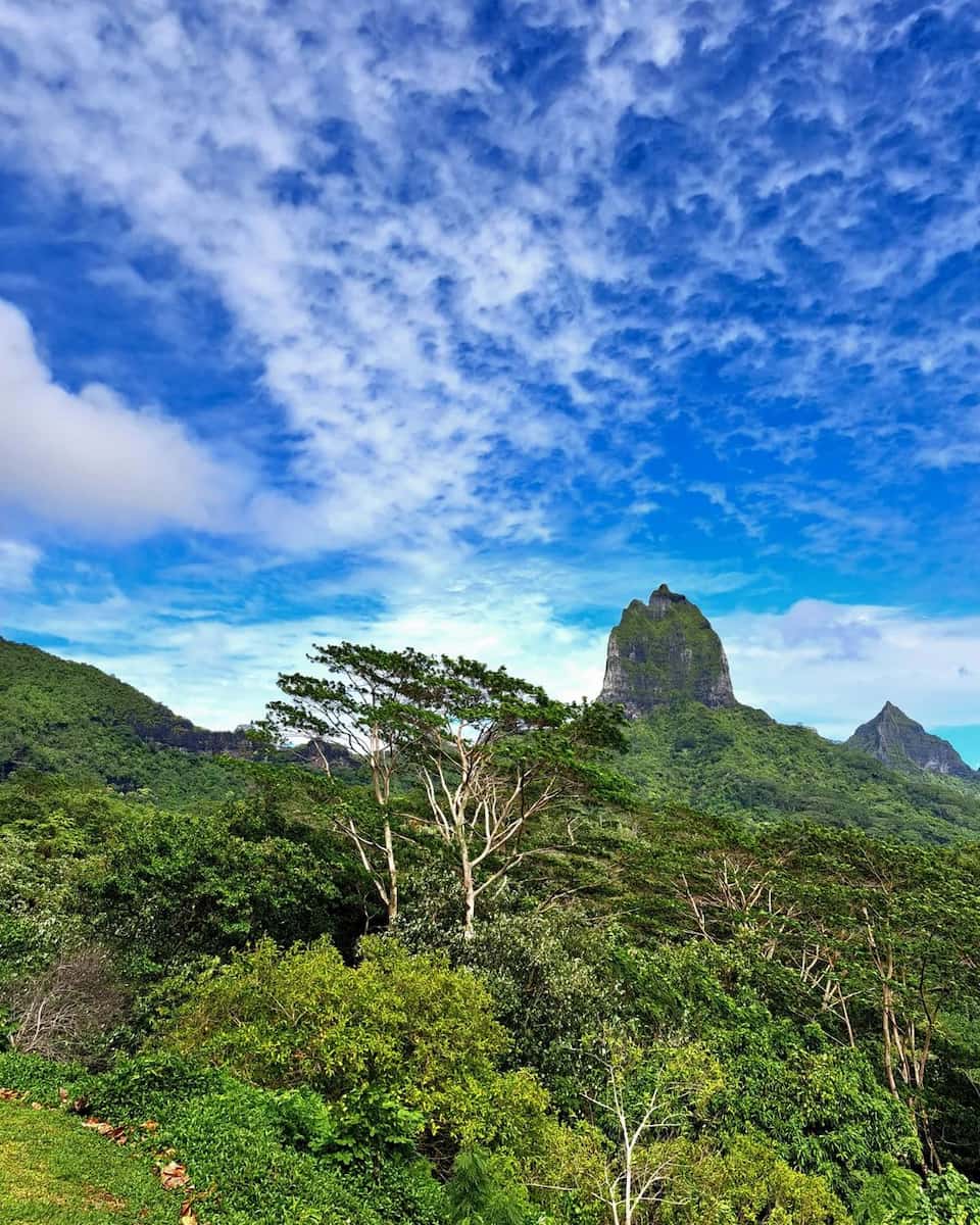 Opunohu Bay Opunohu Bay