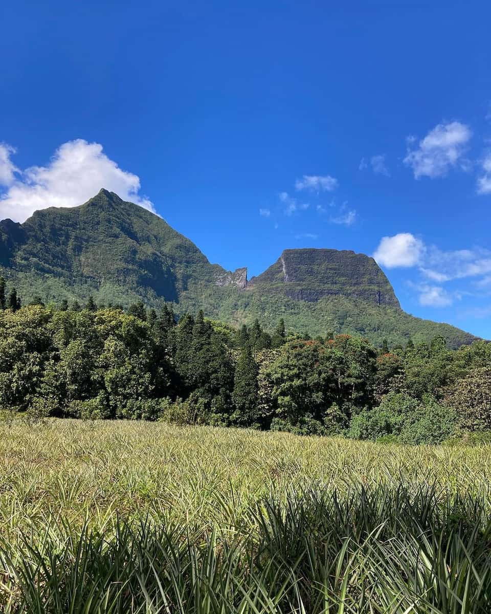 Opunohu Bay Opunohu Bay