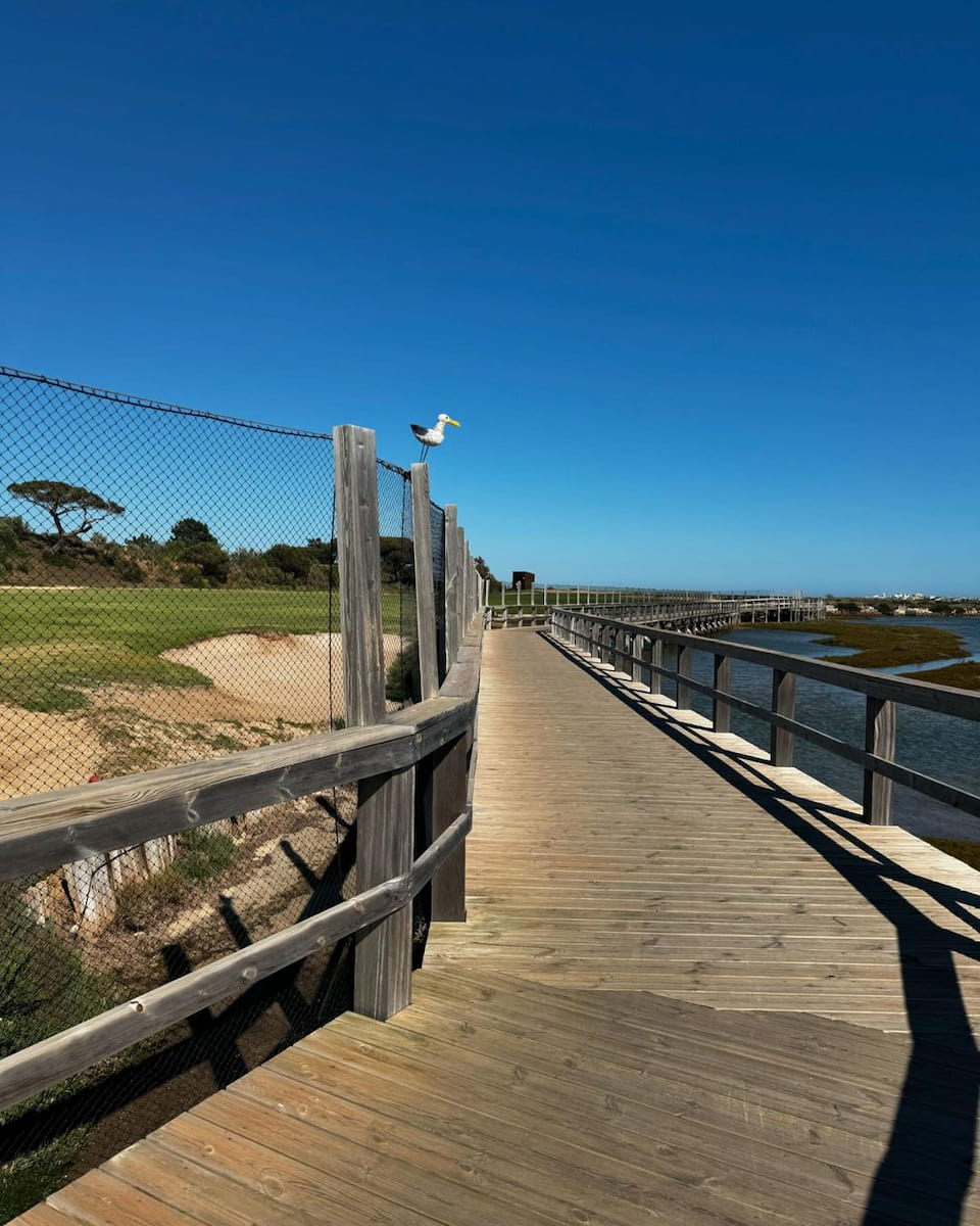 Ria Formosa Ria Formosa