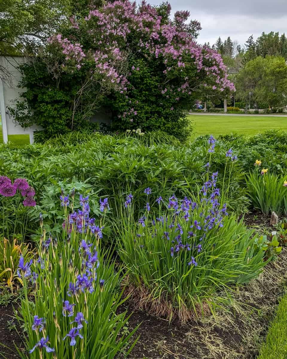 Riley Park Riley Park