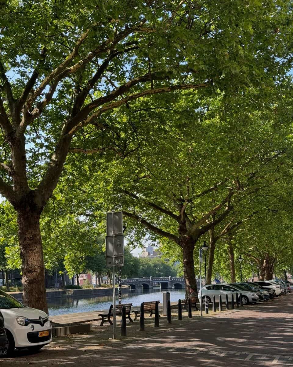 Rotterdam Noord Rotterdam Noord