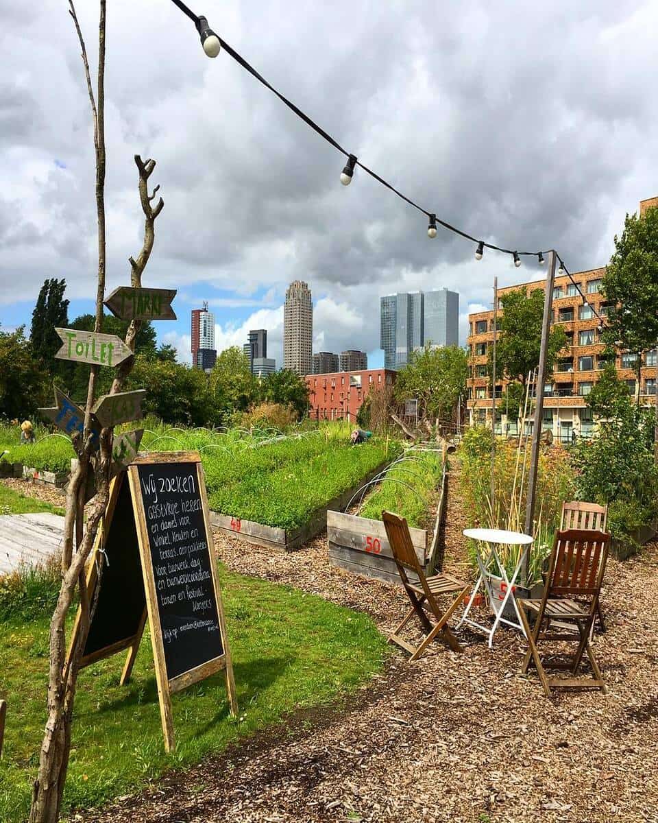 Rotterdamse Munt Rotterdamse Munt