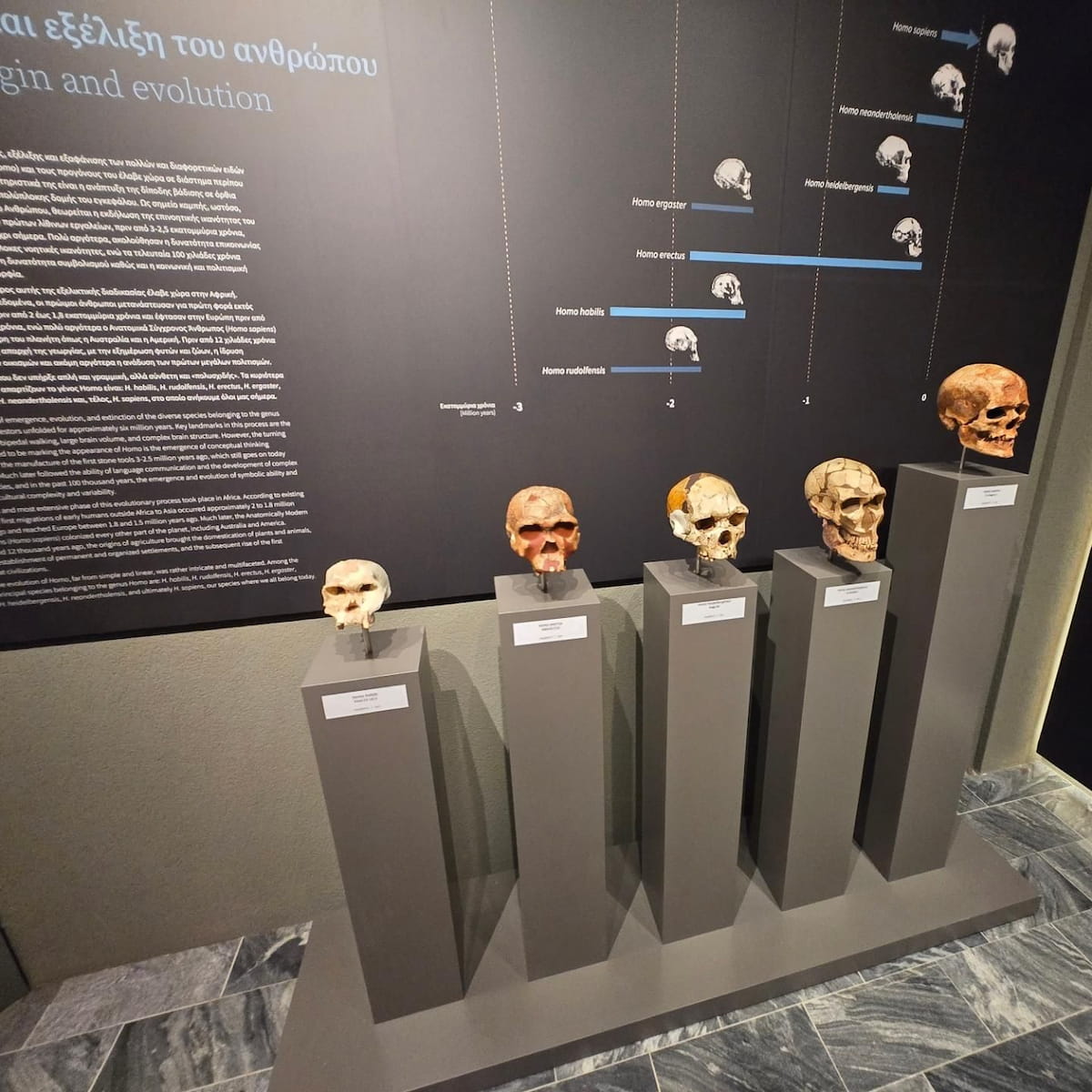 Halkidiki, Petralona Cave Halkidiki, Petralona Cave