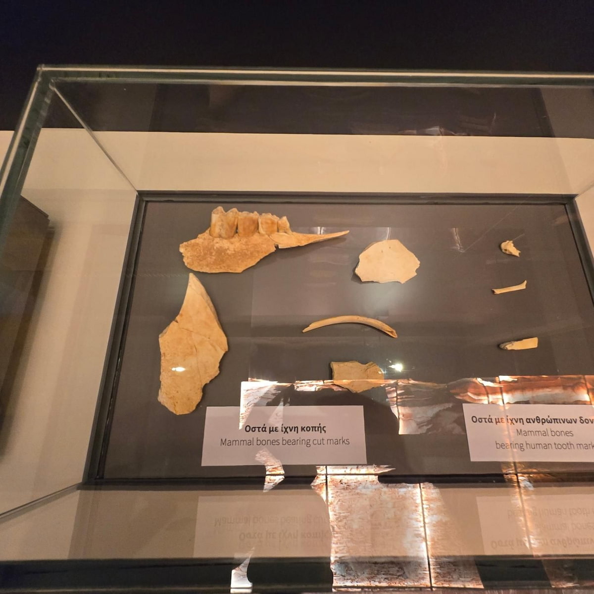 Halkidiki, Petralona Cave Halkidiki, Petralona Cave