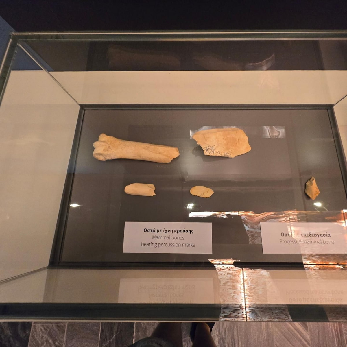 Halkidiki, Petralona Cave Halkidiki, Petralona Cave