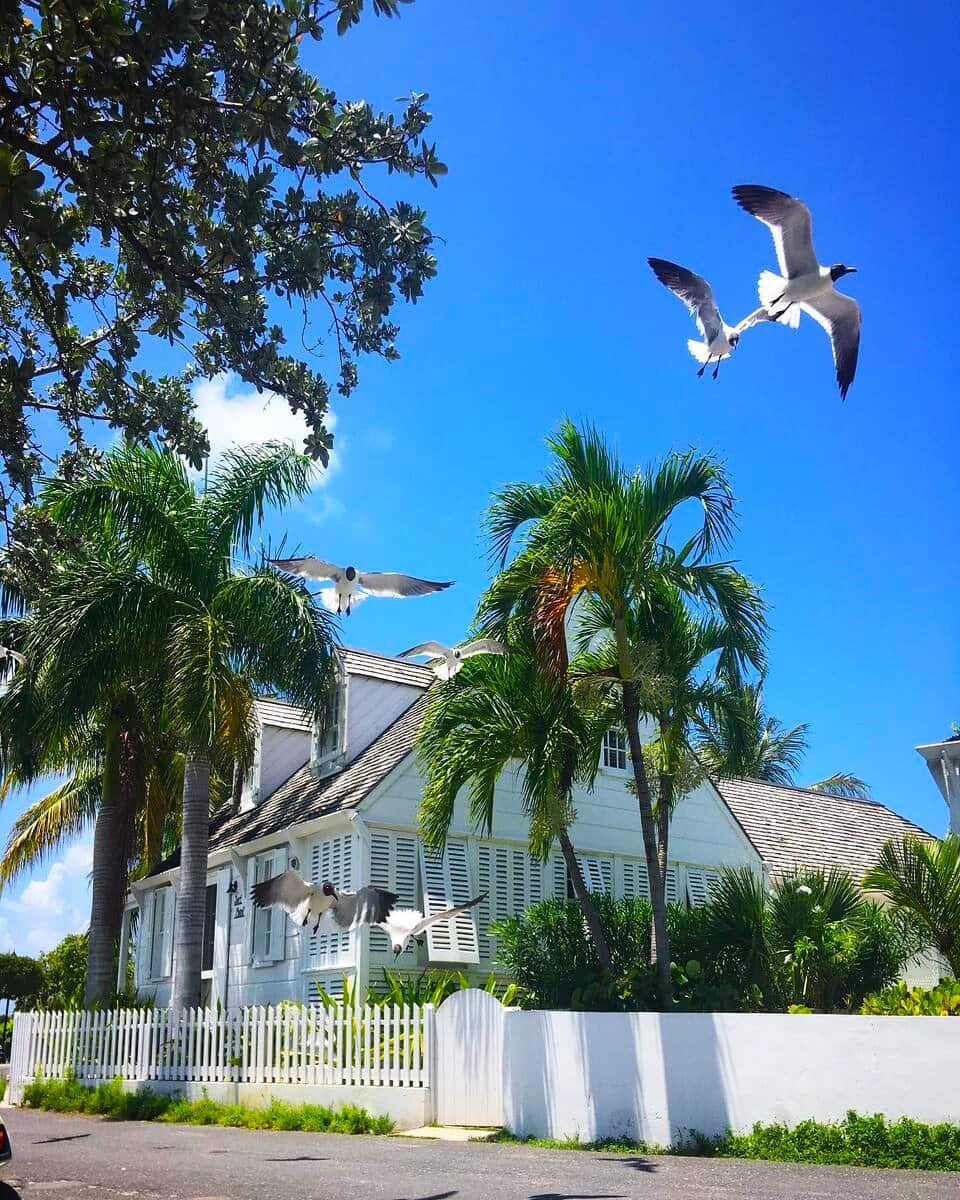 Harbour Island Harbour Island