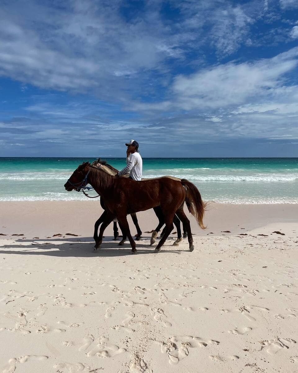 Harbour, Pink Sands Beach Harbour, Pink Sands Beach