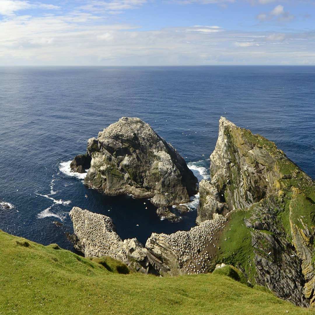 Hermaness National Nature Reserve,Unst Hermaness National Nature Reserve,Unst
