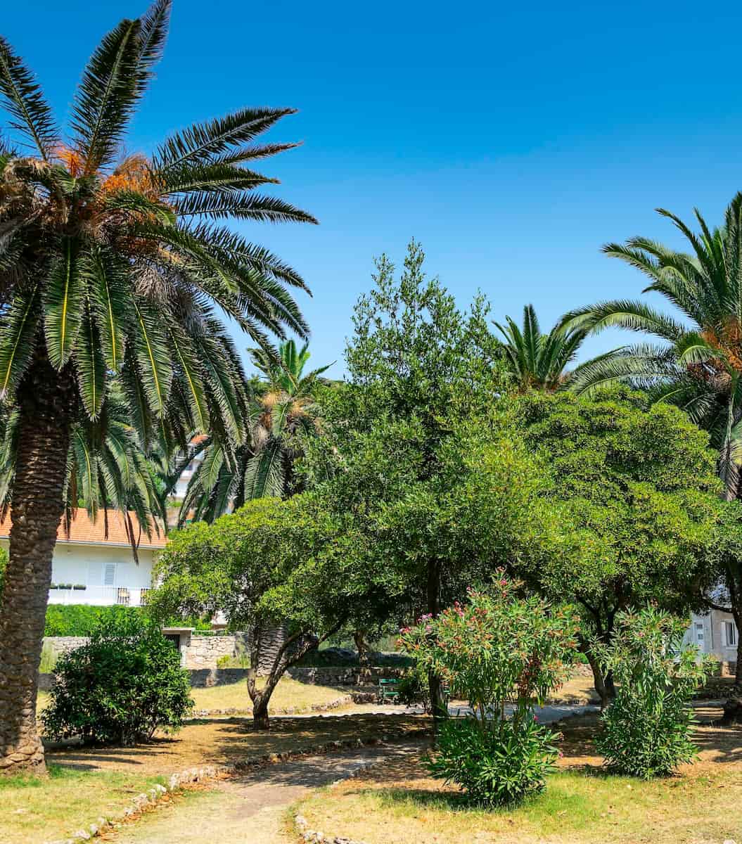 Hvar_Island_Jelsa_Park2