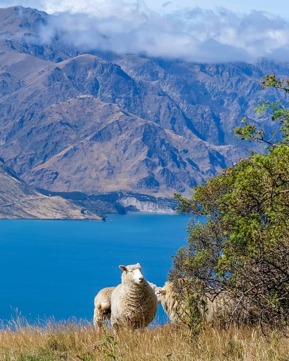 Wanaka, Lake Hawea, Isthmus Peak Track Wanaka, Lake Hawea, Isthmus Peak Track