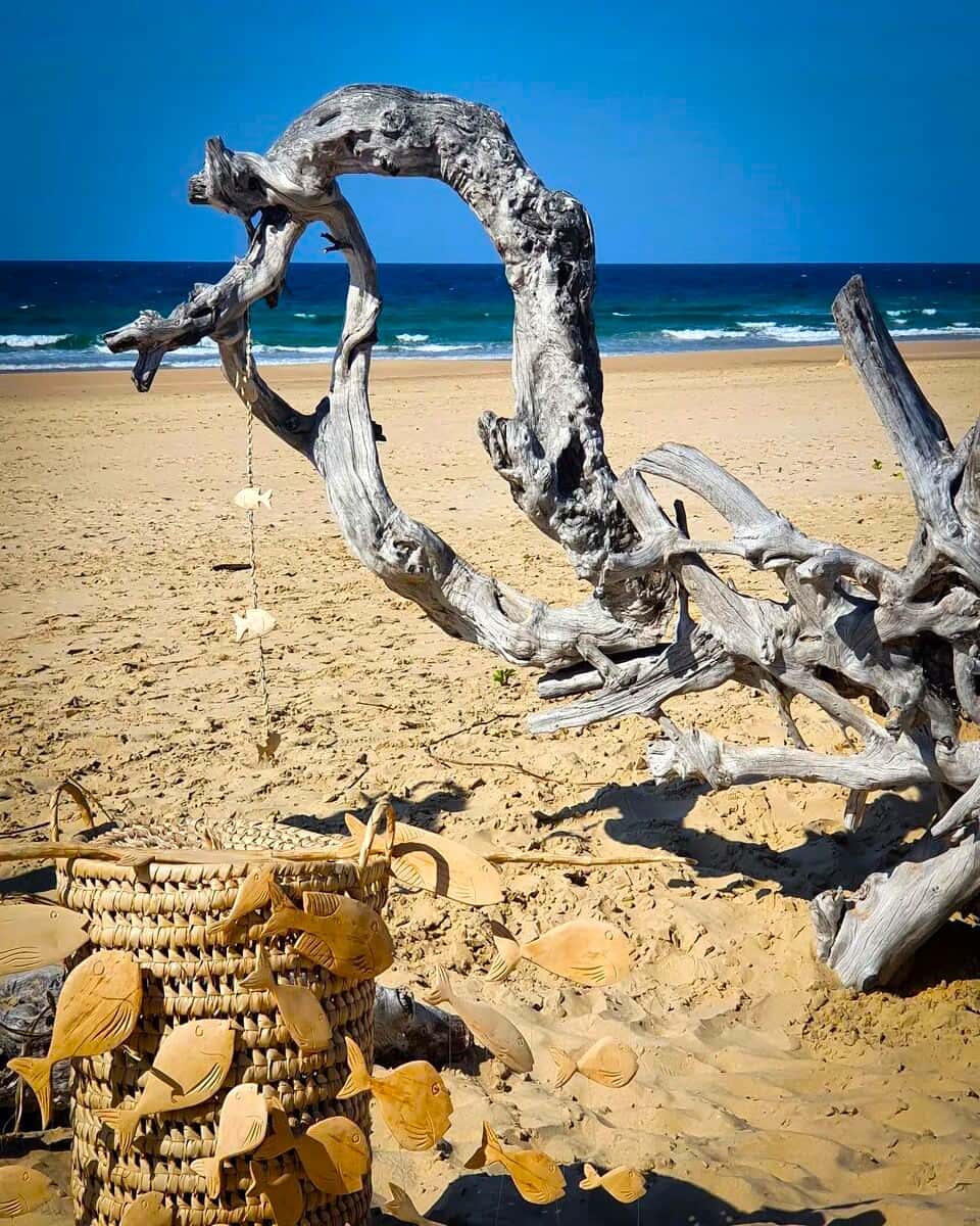 Mozambique, Tofo Beach Mozambique, Tofo Beach