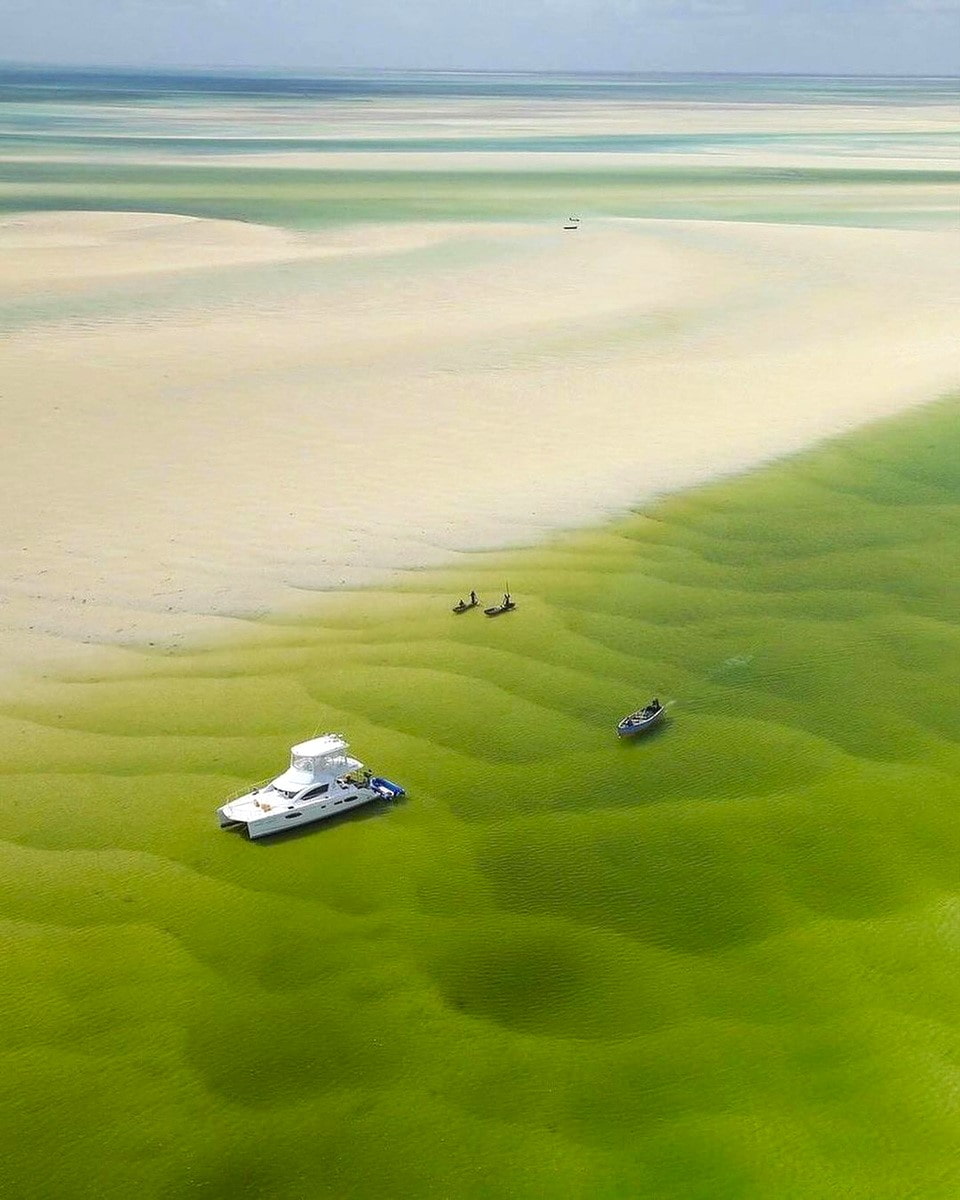 Mozambique, Vilanculos Mozambique, Vilanculos