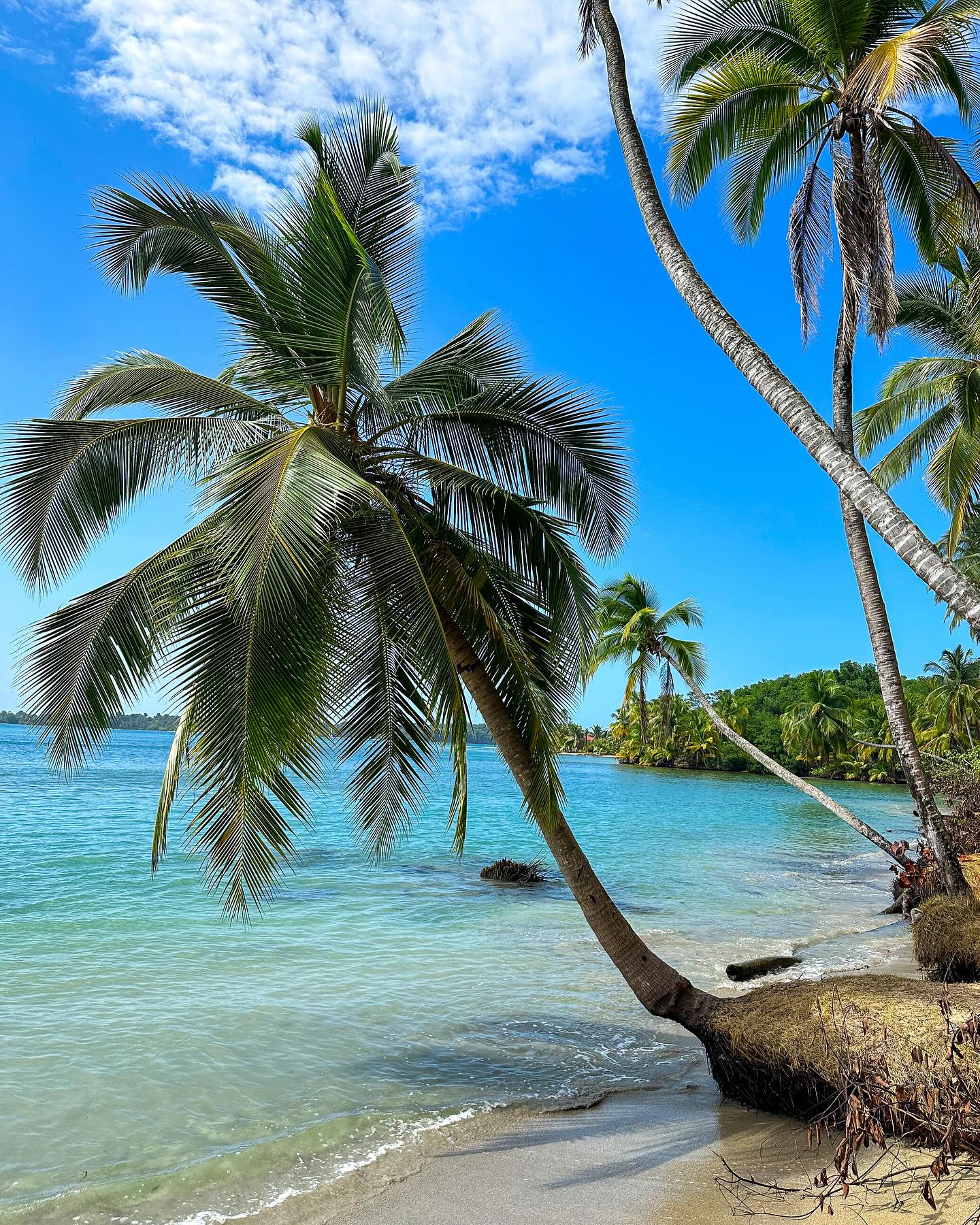 Panama, Bocas del Toro Panama, Bocas del Toro