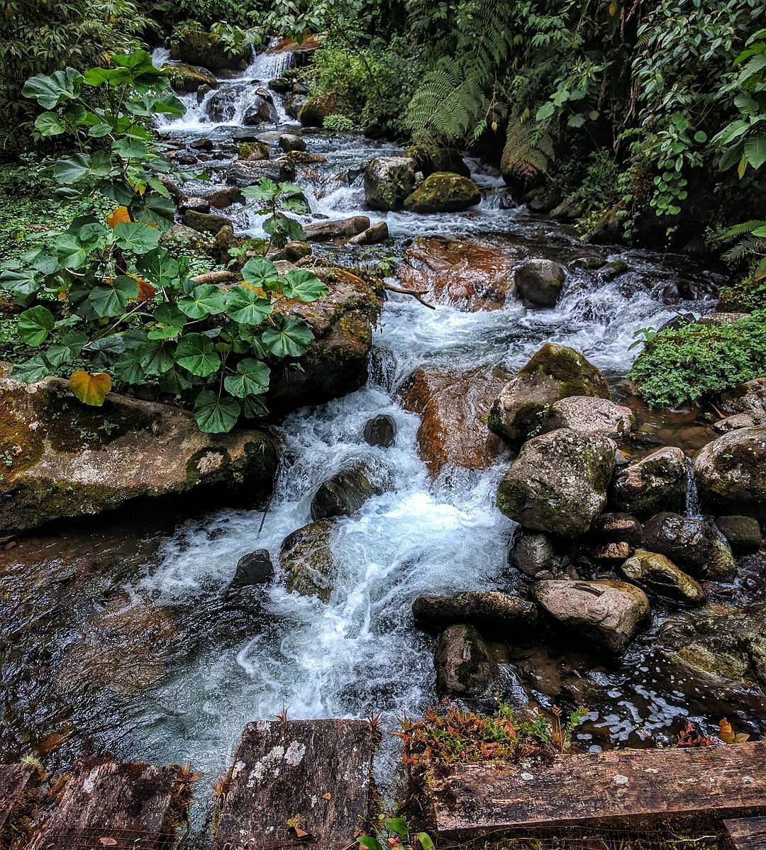 Panama, Boquete Panama, Boquete