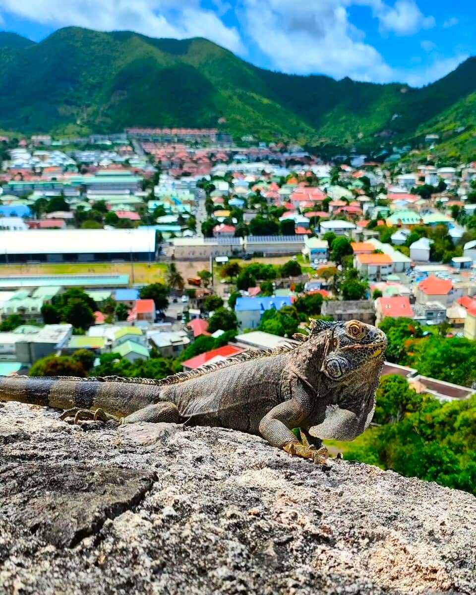 Saint Martin, Fort Louis Saint Martin, Fort Louis