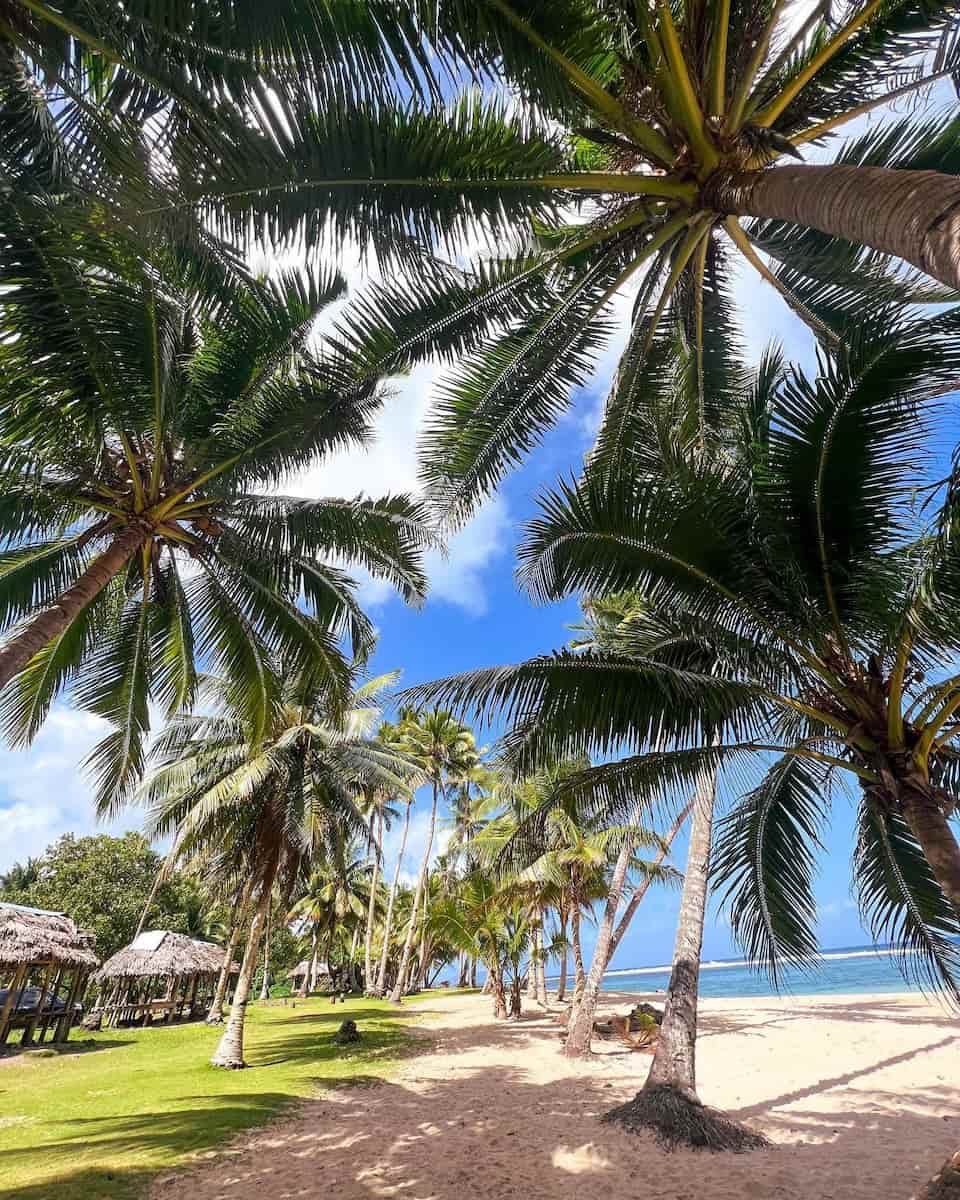 Samoa Cultural Village, Samoa Samoa Cultural Village, Samoa