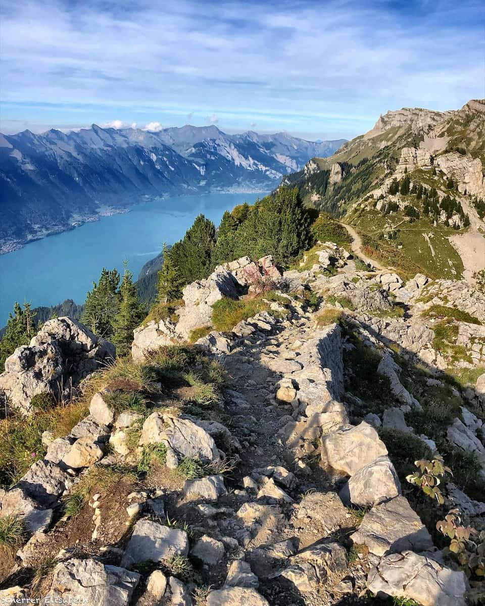 Schynige Platte Jungfrau Region Switzerland Schynige Platte Jungfrau Region Switzerland