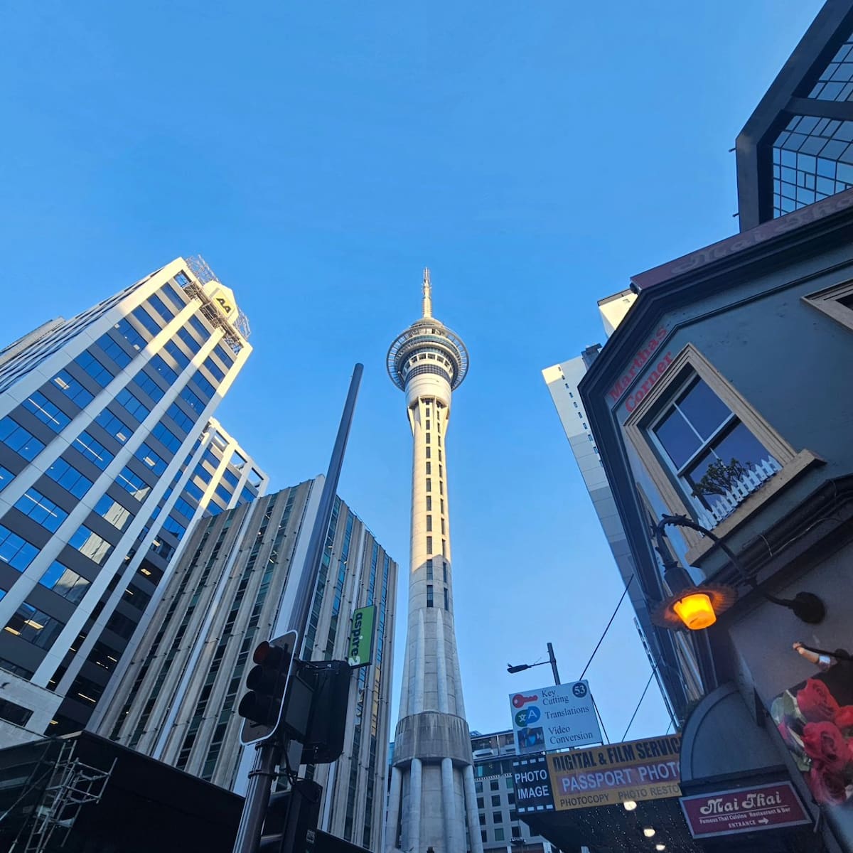 Sky Tower Auckland North island NewZealand Sky Tower Auckland North island NewZealand