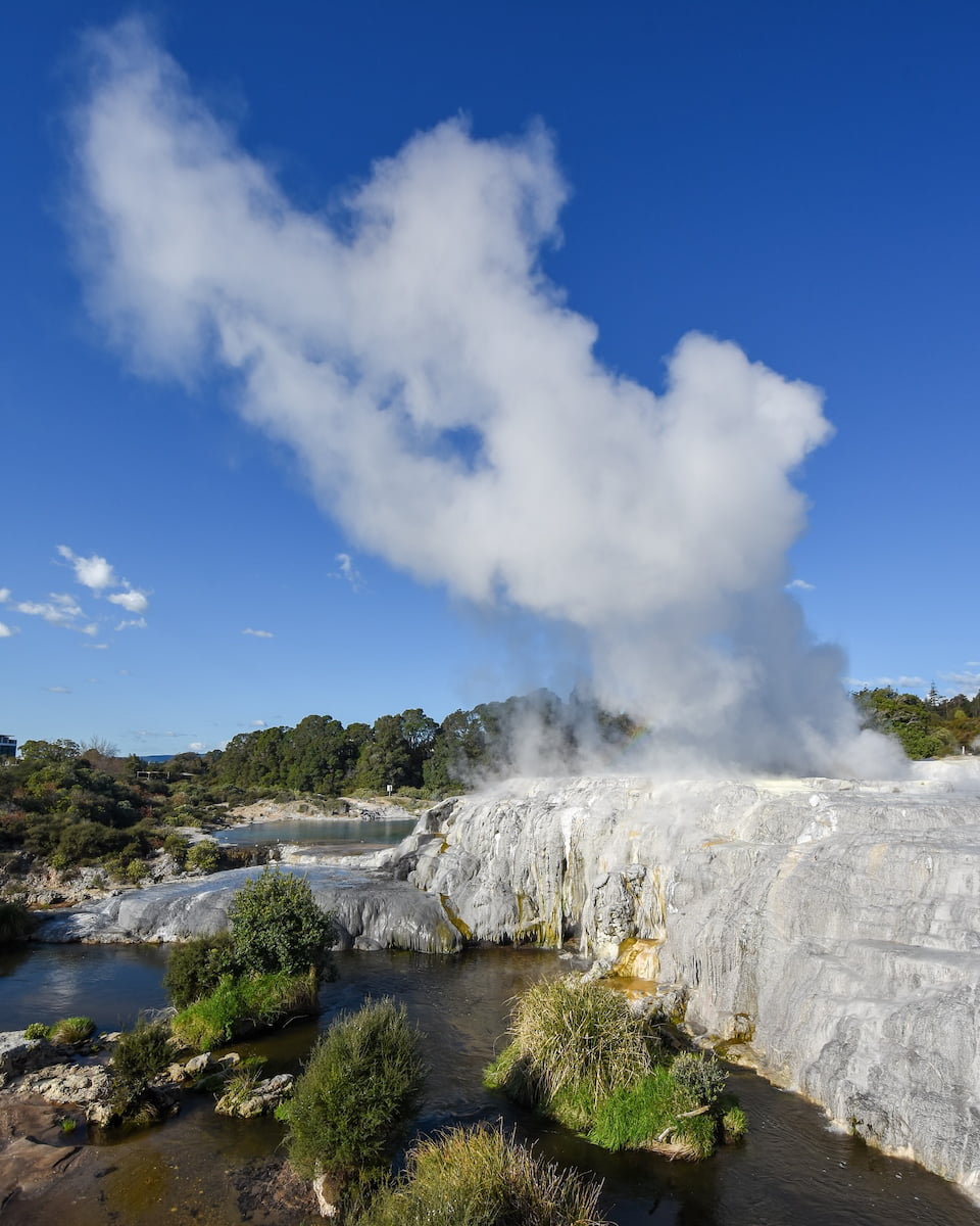 Te Puia Rotorua North island New Zealand Te Puia Rotorua North island New Zealand