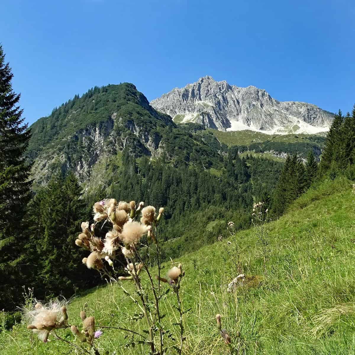 Tirol Innsbruck Austria Tirol Innsbruck Austria