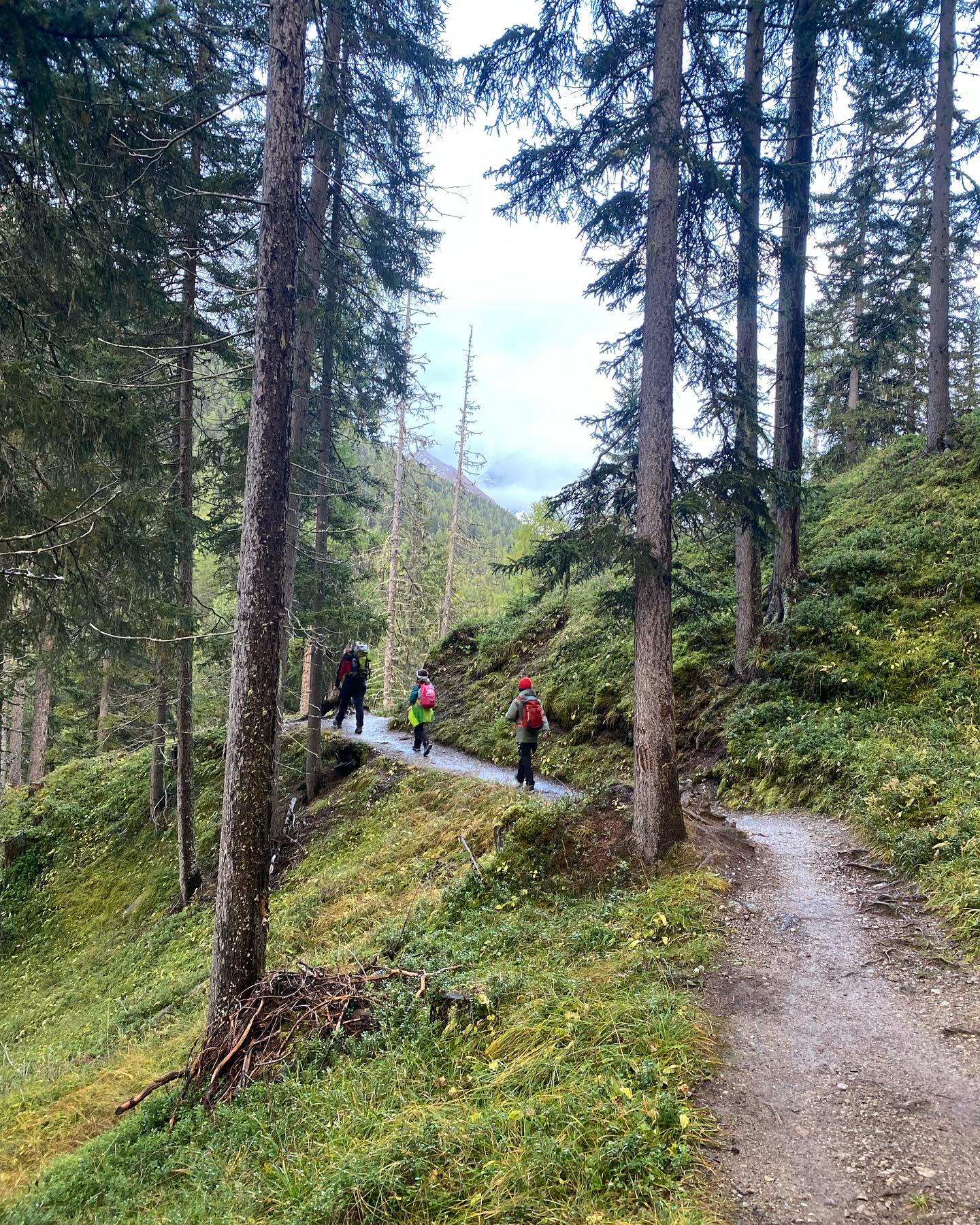 Val Trupchun Swiss National Park Switzerland Val Trupchun Swiss National Park Switzerland