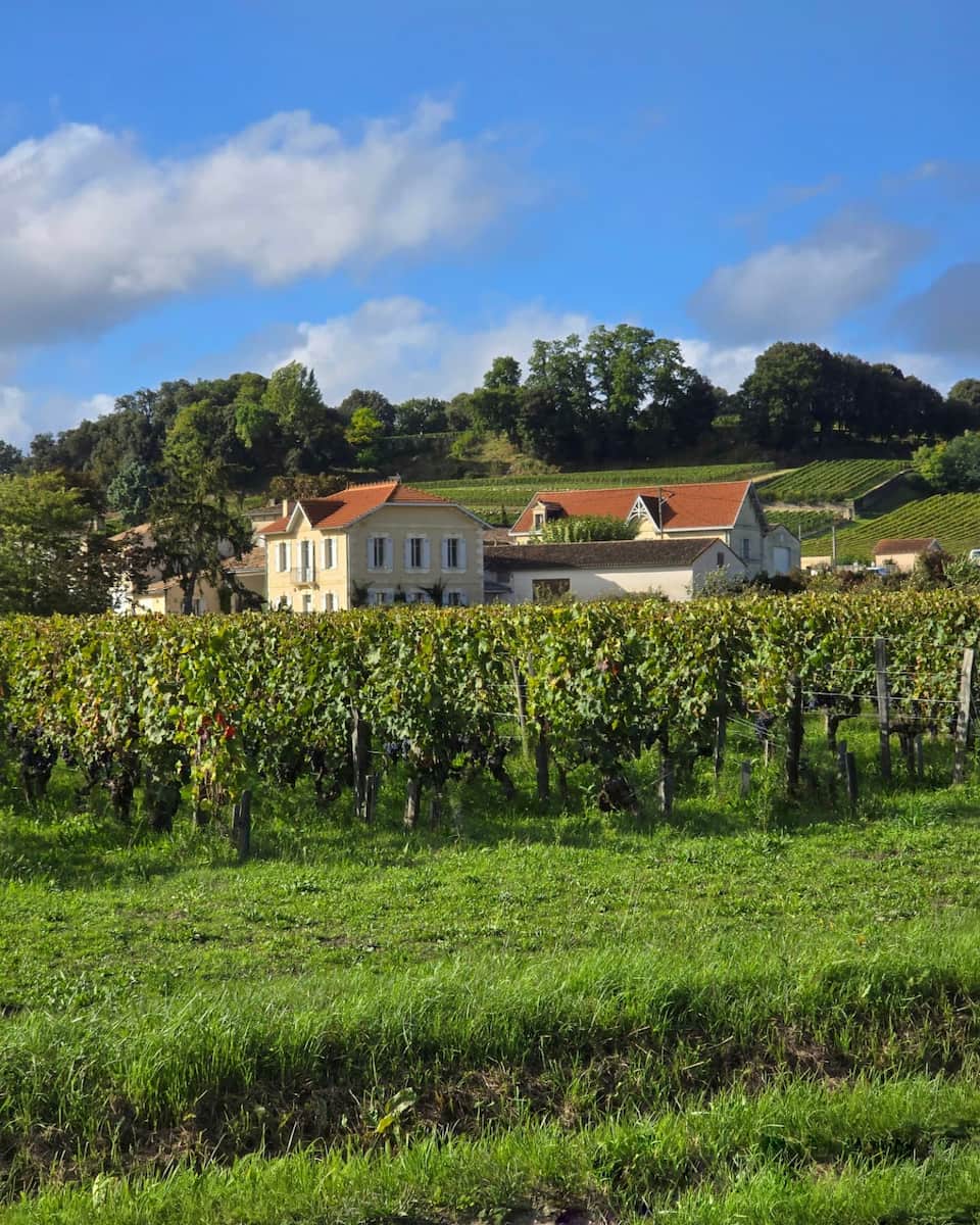 Vineyard Landscapes Saint Émilion France Vineyard Landscapes Saint Émilion France