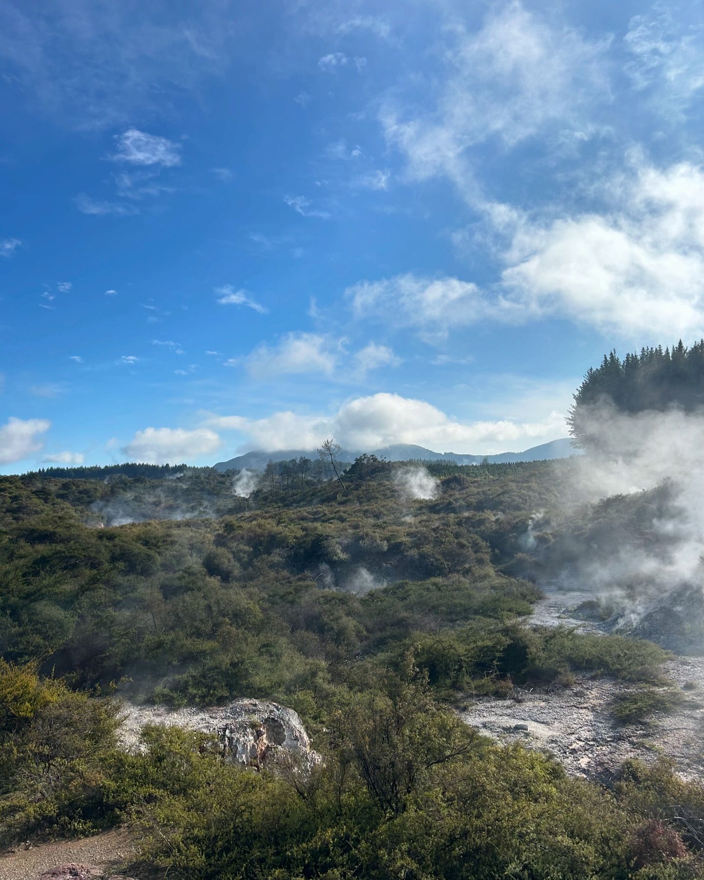 Tapu Rotorua North island New Zealand Tapu Rotorua North island New Zealand