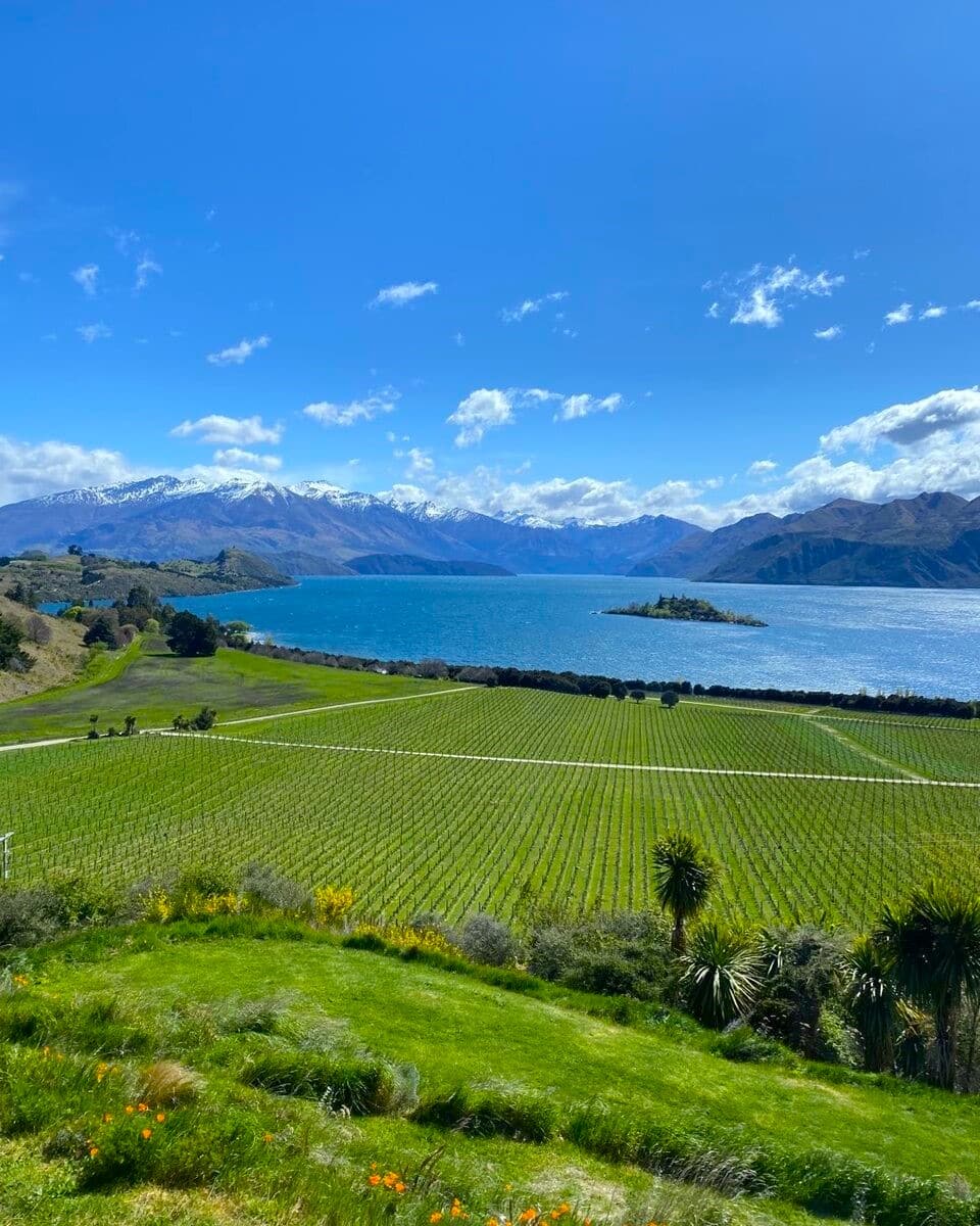 Wanaka, Rippon Wanaka, Rippon