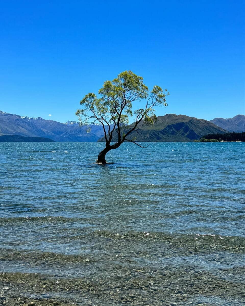 Wanaka, Shores of Lake Wanaka Wanaka, Shores of Lake Wanaka