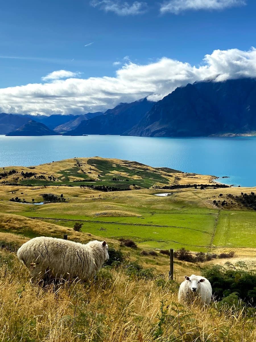 Wanaka, Shores of Lake Wanaka Wanaka, Shores of Lake Wanaka