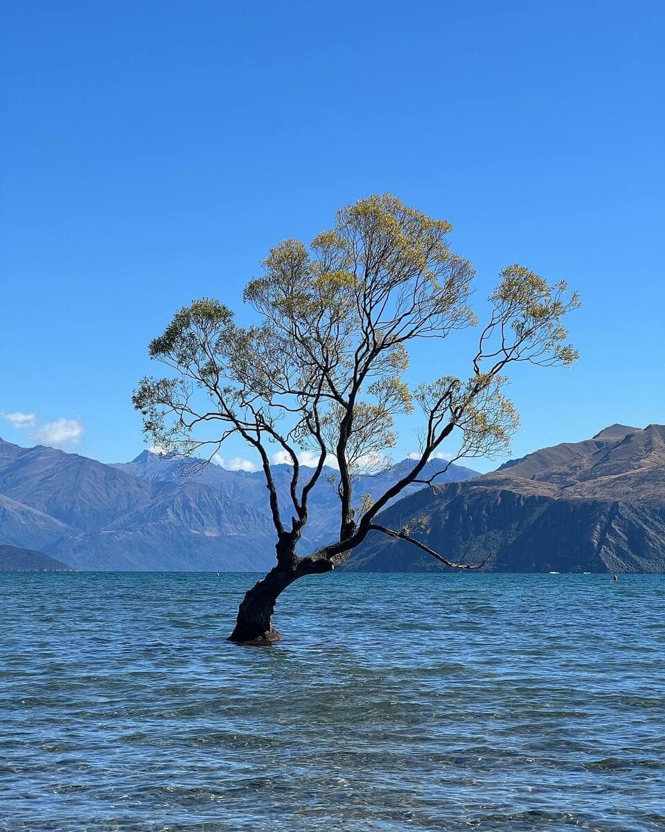 Wanaka Wanaka