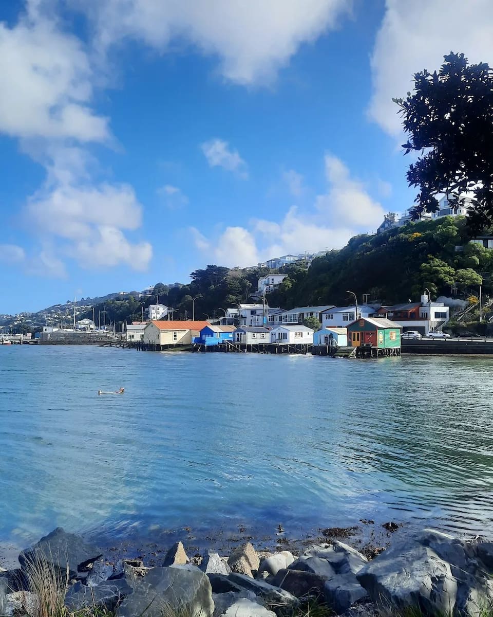 Wellington North island Wellington North island