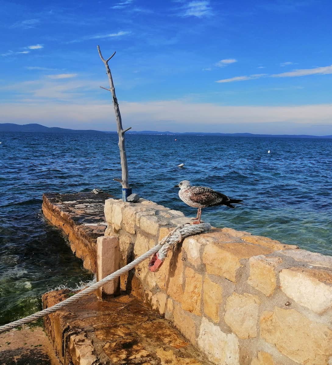 Diklo, Zadar Diklo, Zadar