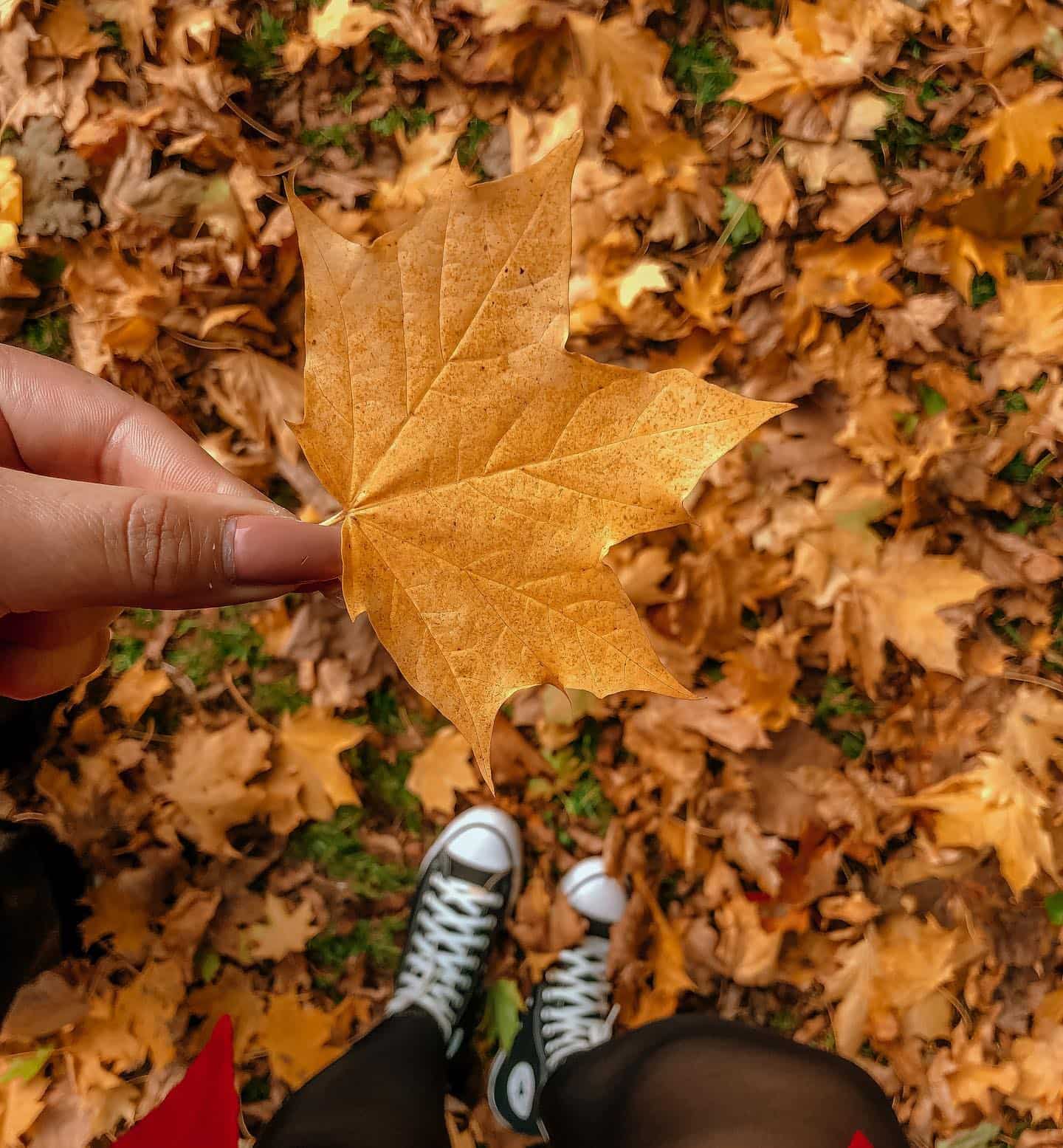 Autumn Season, Spain Autumn Season, Spain