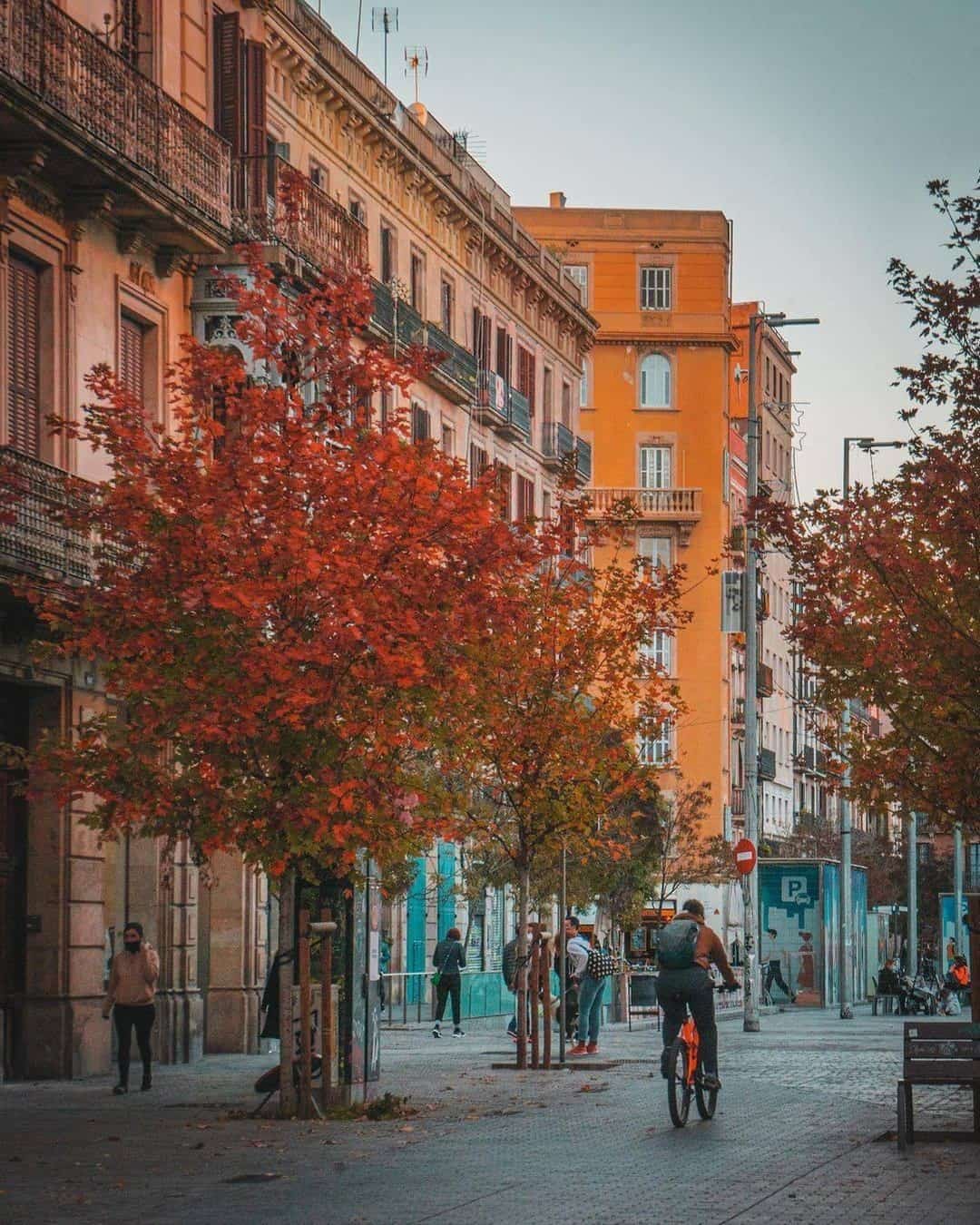 Fall in Spain, Barselona Fall in Spain, Barselona