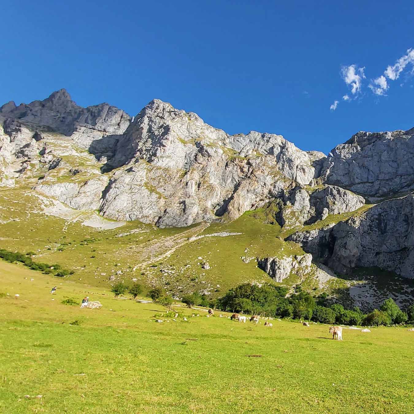 Spring Season, Spain Spring Season, Spain