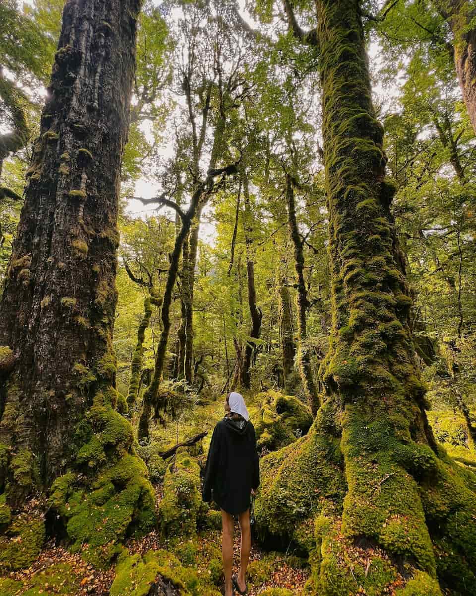 Atmosphere of New Zealand Atmosphere of New Zealand