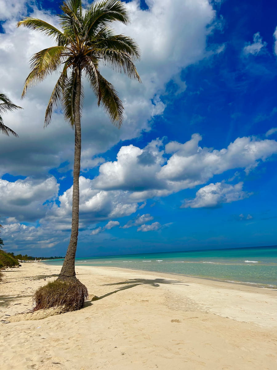 Beach Miramar Havana Beach Miramar Havana