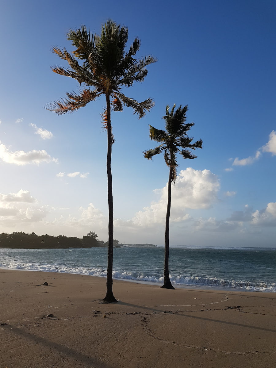 Habana del Este Habana del Este