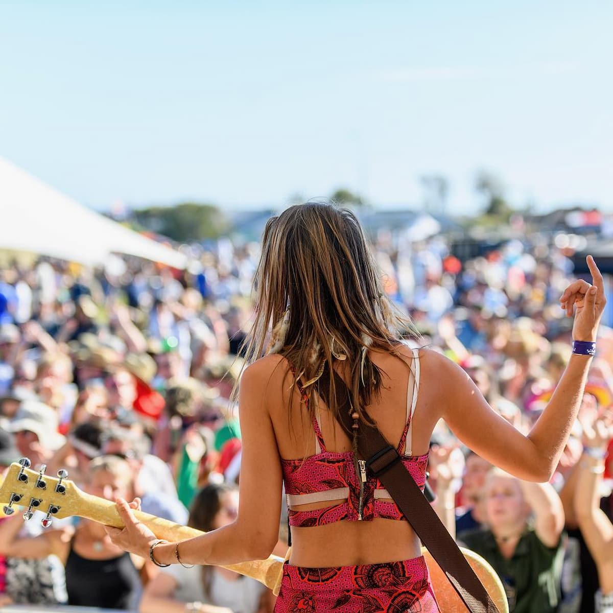 Hokitika Wildfoods Festival, New Zealand Hokitika Wildfoods Festival, New Zealand