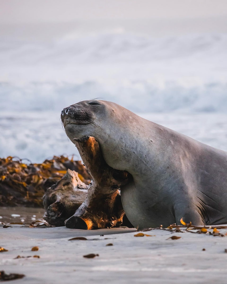 Island escapes, New Zealand Island escapes, New Zealand