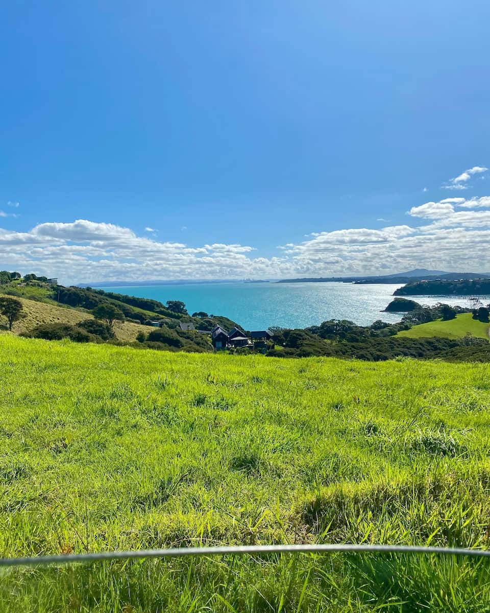 Island escapes, New Zealand Island escapes, New Zealand