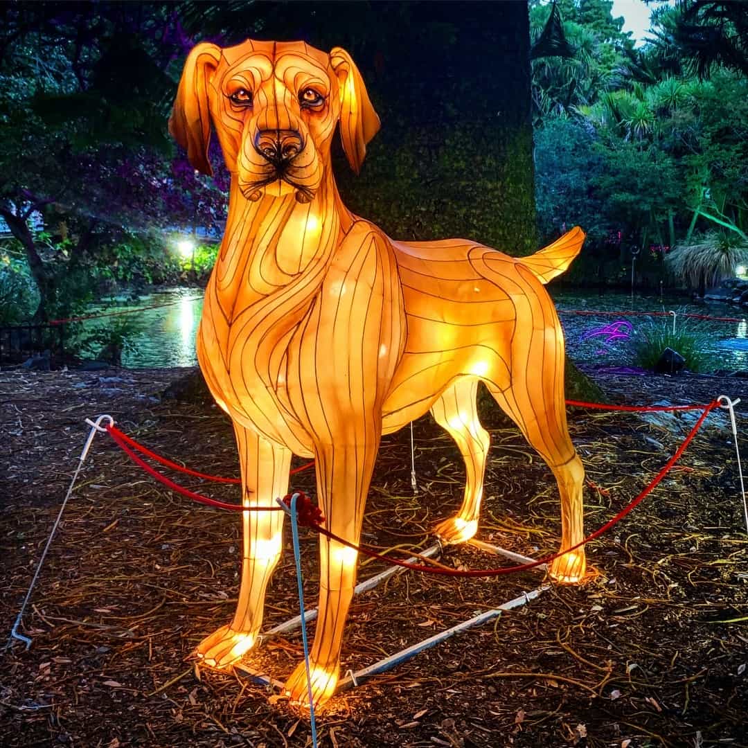 New Zealand New Zealand