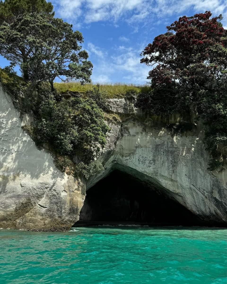 Summer in New Zealand Summer in New Zealand