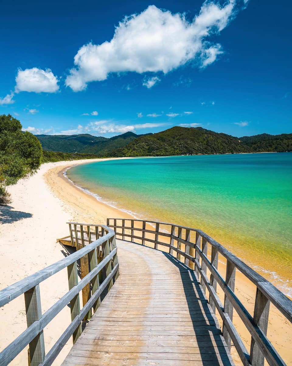 Summer in New Zealand Summer in New Zealand