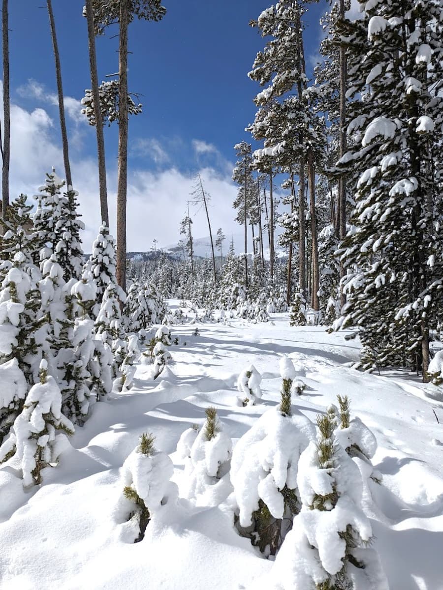 Big Sky Resort, Montana Big Sky Resort, Montana