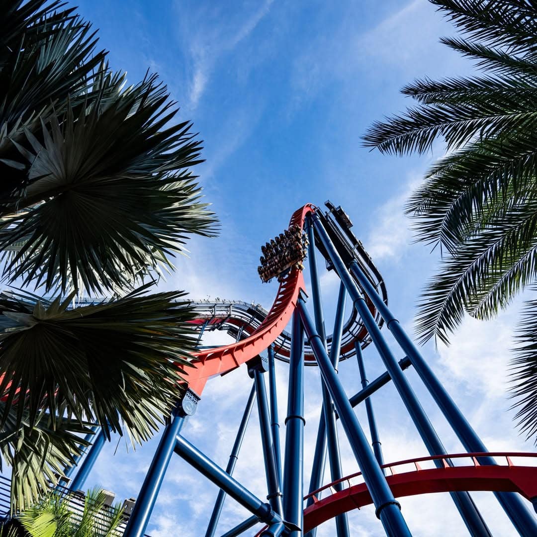 Busch Gardens, Tampa Busch Gardens, Tampa