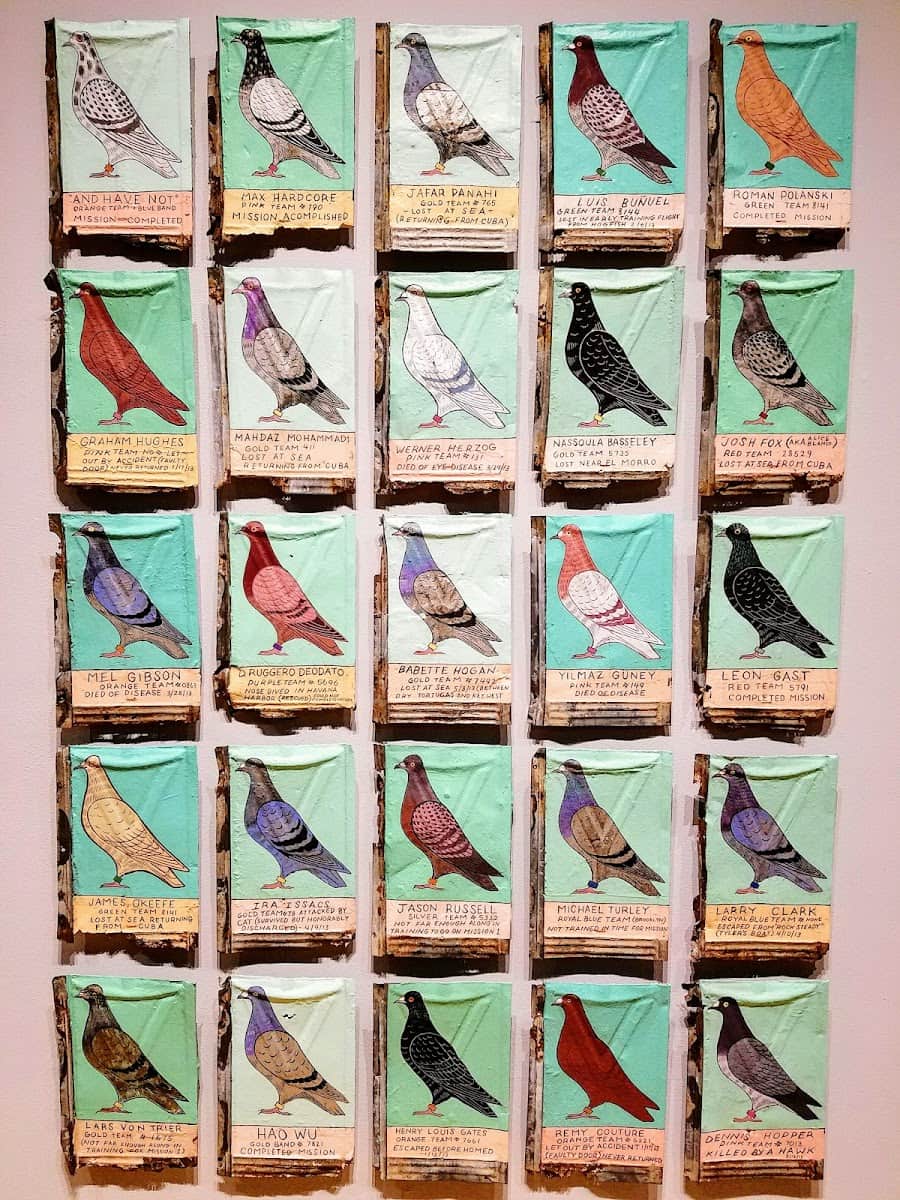 CASS Contemporary Art, Tampa CASS Contemporary Art, Tampa