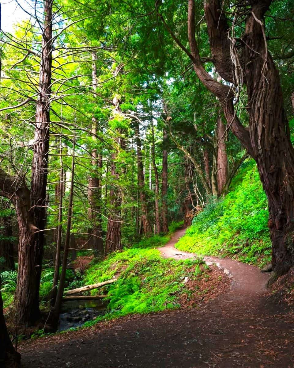 Carmel Valley Carmel Valley